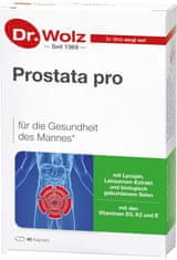 Dr. Wolz  Prostata pro