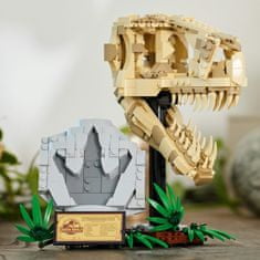 LEGO Jurassic World 76964 Dinosaurie fosílie: Lebka T-rexa