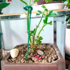 Vixson Podporné kolíky na rastliny, plastové podpery na izbové kvety (20 ks) | ROOTZI
