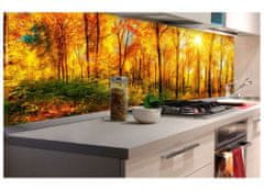 Dimex fototapeta do kuchyne KI-180-084 Slnečný les 60 x 180 cm