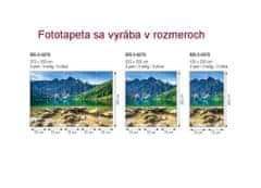 Dimex fototapeta MS-2-0076 Tatry 150 x 250 cm