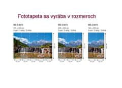 Dimex fototapeta MS-2-0075 Alpy 150 x 250 cm