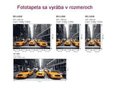 Dimex fototapeta MP-2-0008 panoráma - Žlté taxi 375 x 150 cm