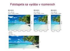 Dimex fototapeta MP-2-0215 panoráma - Rajská pláž 375 x 150 cm