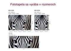 Dimex fototapeta MP-2-0234 panoráma - Zebra 375 x 150 cm