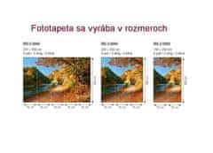 Dimex fototapeta MS-2-0069 rieka Dunajec 150 x 250 cm