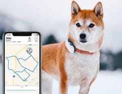 Tractive GPS DOG 4 - GPS sledovanie polohy a aktivity pre psov - rozbalené