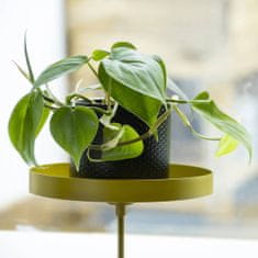 Vidaxl Esschert Design Podnos na rostliny s držákem, kulatý, zlatý, velikost M