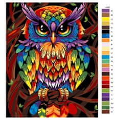 Malujsi Maľovanie podľa čísel - Farebná sova - 40x50 cm, plátno vypnuté na rám