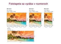 Dimex fototapeta MS-2-0211 Polynézia 150 x 250 cm