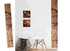 Dimex dekoračné pásy - Drevo letokruhy, 32 x 270 cm