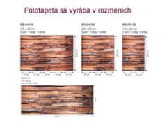 Dimex Fototapeta MP-2-0158 panoráma - Drevený obklad 375 x 150 cm