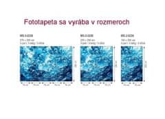 Dimex fototapeta MS-3-0236 Bublinková voda 225 x 250 cm