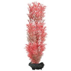 Tetra Rostlina Foxtail Red M - KARTON (36ks) 1 ks
