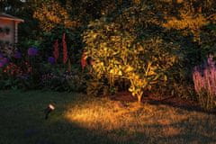 Paulmann PAULMANN LED bodové záhradné svetlo zlaté svetlo neláka hmyz IP65 kruhové 92mm 2200 - 2200K 4,3W 230V 38-38 ° čierna kov 94731