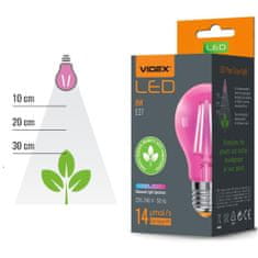 VIDEX LED žiarovka E27 A60 8W 290lm FITO lampa na pestovanie rastlín FITO 360°