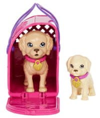 Mattel Barbie Bábika so psíkmi HKD86