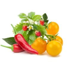 Click and Grow Zmes ovocia a zeleniny - Mix náhradné kapsule 9ks
